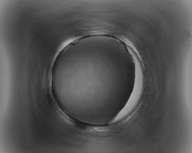X0000086771179200704201759