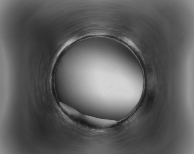 X0000086771181200704201759