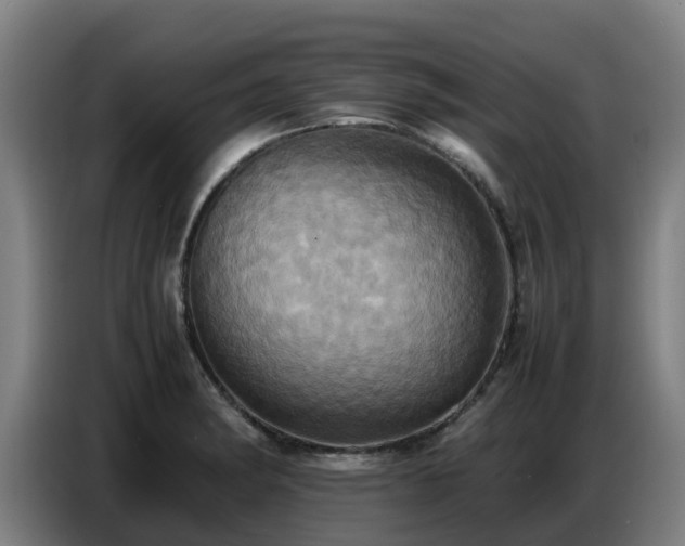 X0000086771182200704201759