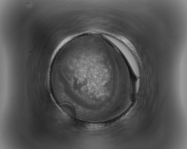X0000086771183200704201759