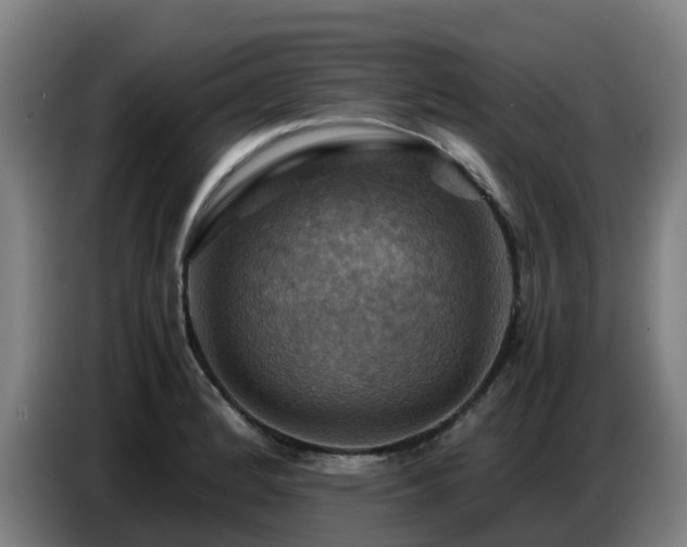 X0000086771184200704201759