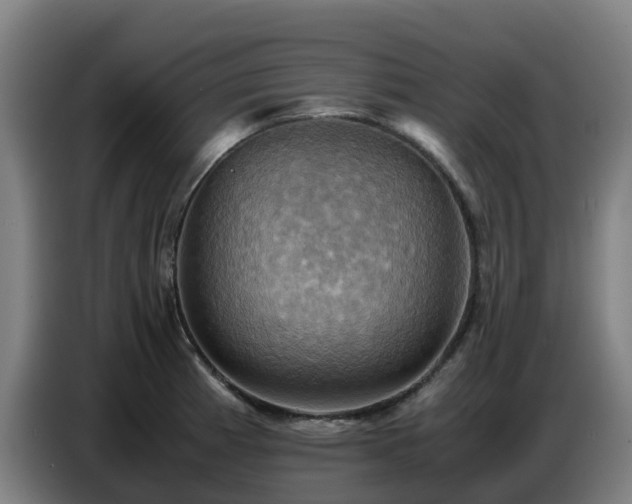 X0000086771185200704201758