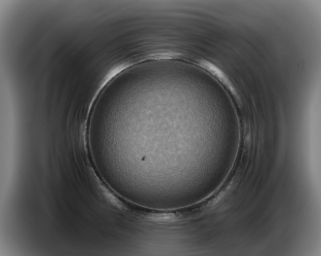 X0000086771186200704201758