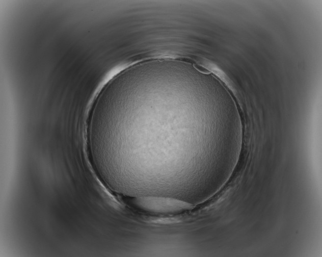 X0000086771187200704201758
