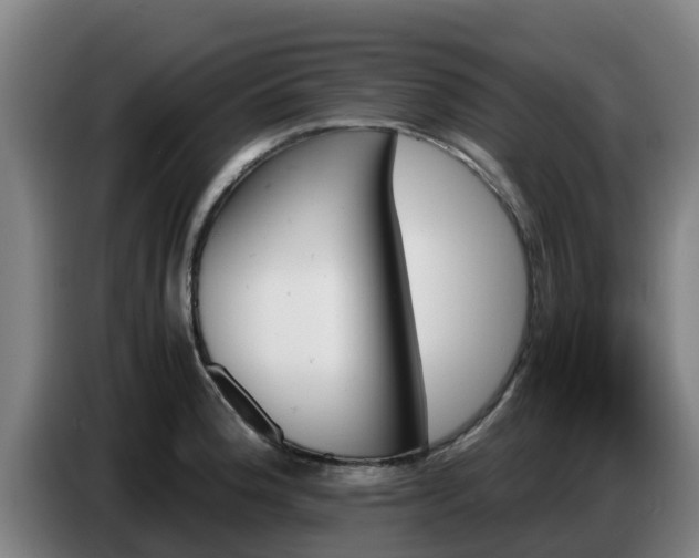 X0000086771188200704201758