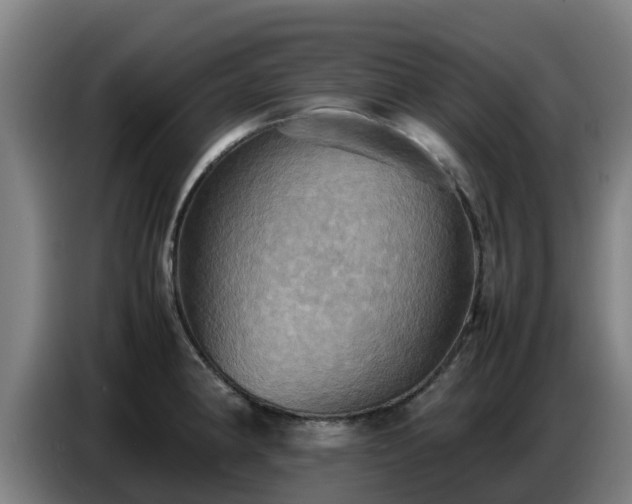 X0000086771190200704201758