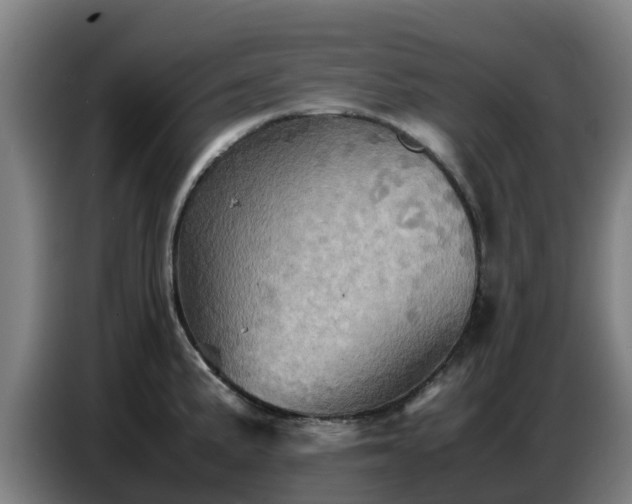 X0000086771191200704201758