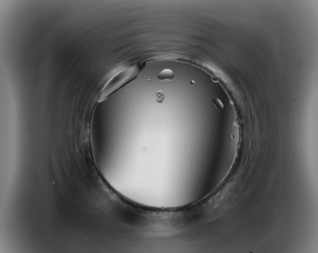 X0000086771193200704201758