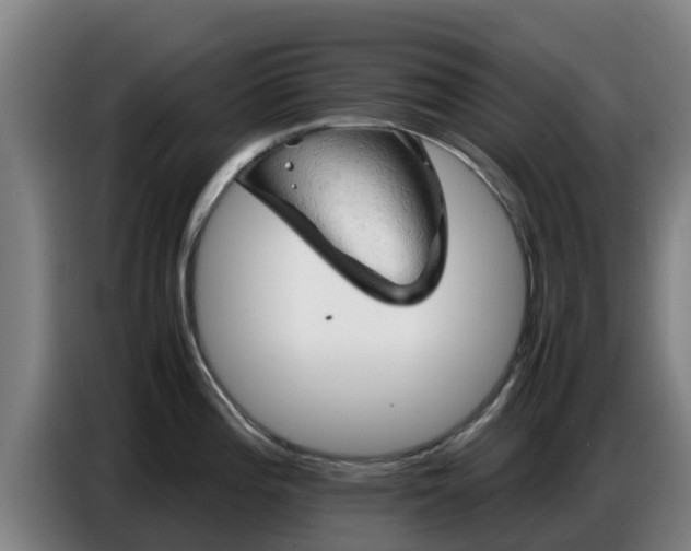 X0000086771196200704201758