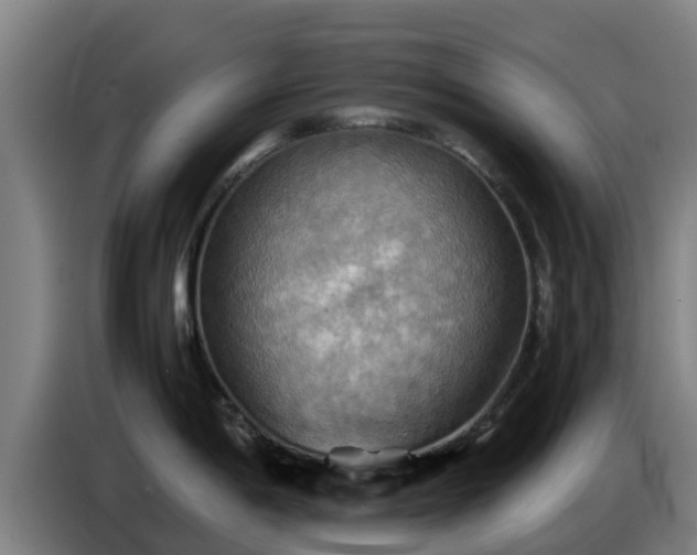 X0000086771198200704201758