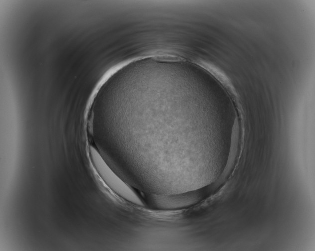 X0000086771200200704201758