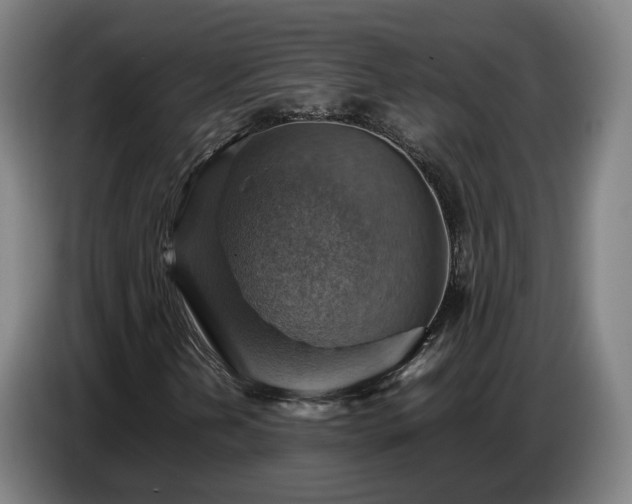 X0000086771202200704201758