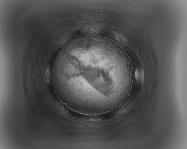 X0000086771203200704201758
