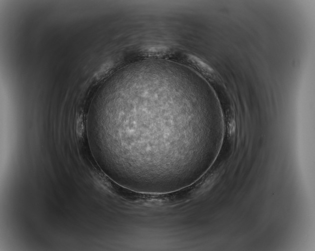 X0000086771204200704201758