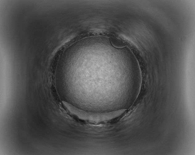 X0000086771207200704201758