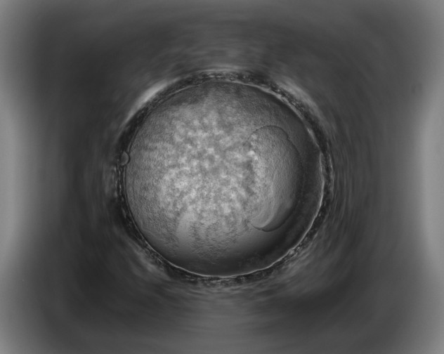 X0000086771208200704201758
