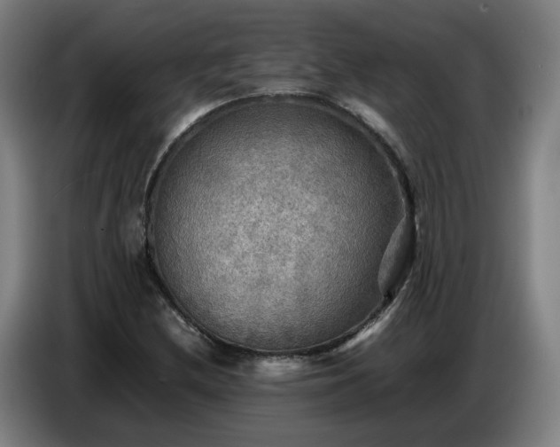 X0000086771212200704201758