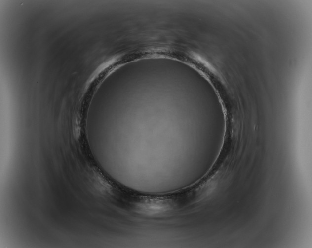 X0000086771213200704201758