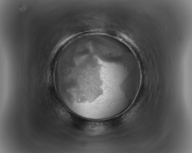 X0000086771215200704201758