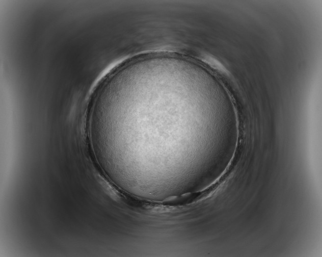 X0000086771216200704201758