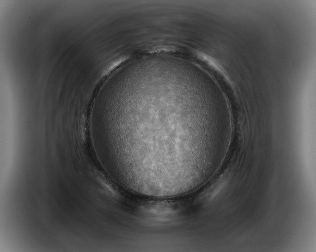 X0000086771217200704201758