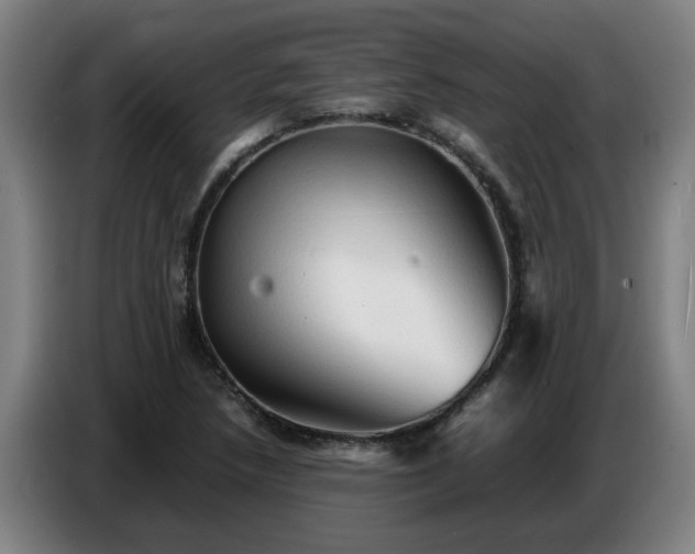 X0000086771218200704201758