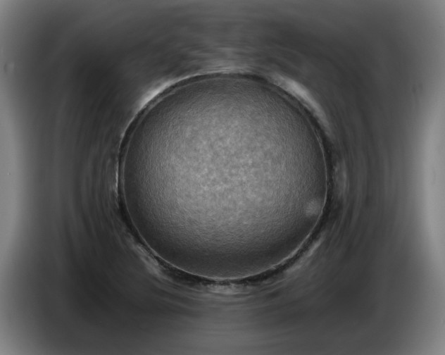 X0000086771220200704201758