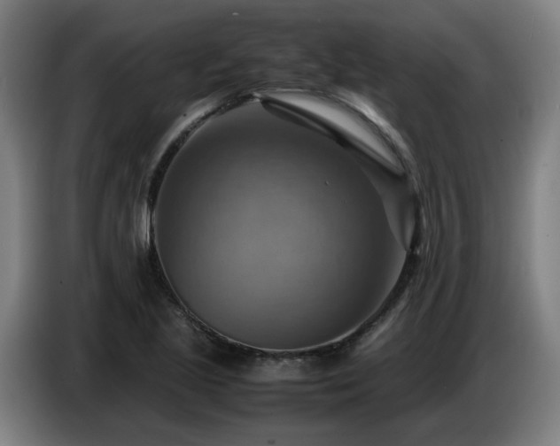 X0000086771221200704201758