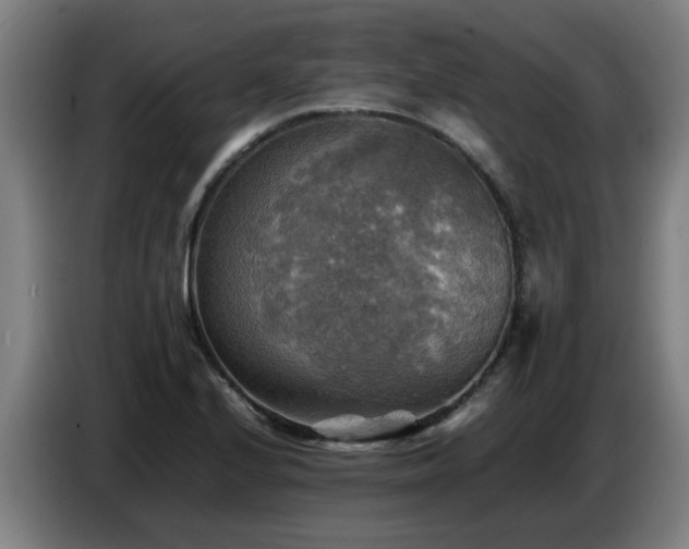 X0000086771224200704201758