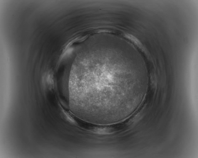 X0000086771225200704201758