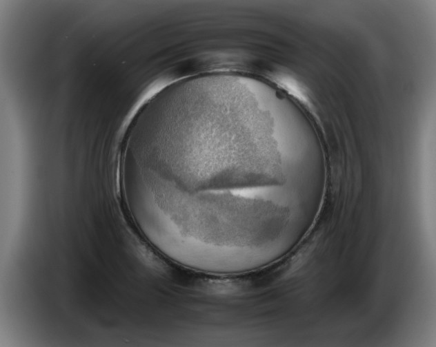 X0000086771227200704201758