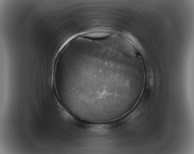 X0000086771228200704201758