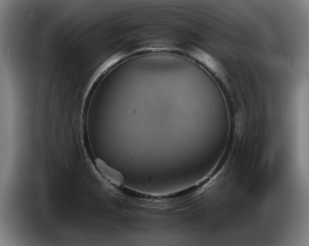 X0000086771229200704201758