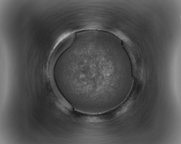 X0000086771230200704201758