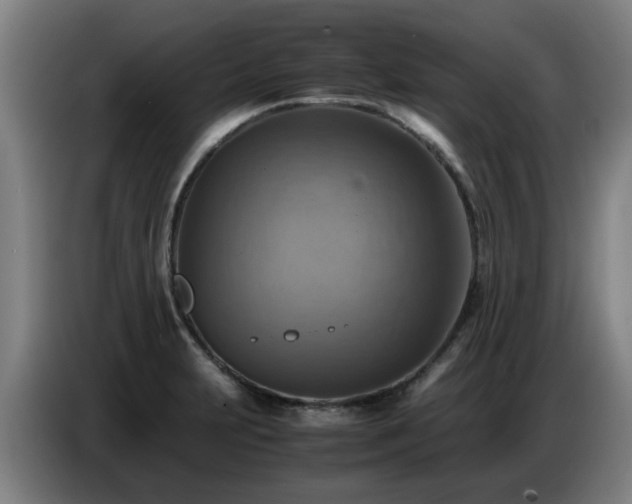 X0000086771231200704201758