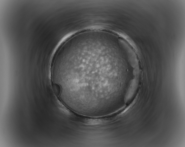 X0000086771232200704201758