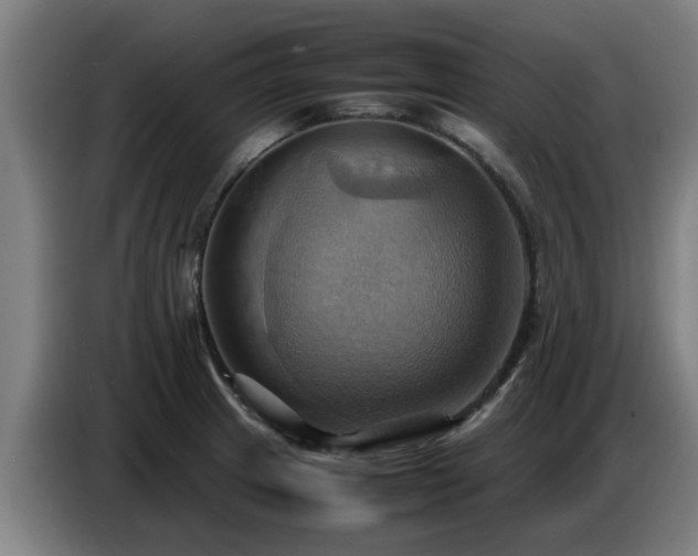 X0000086771233200704201758