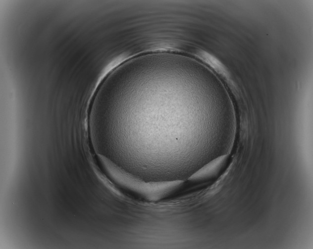 X0000086771234200704201758