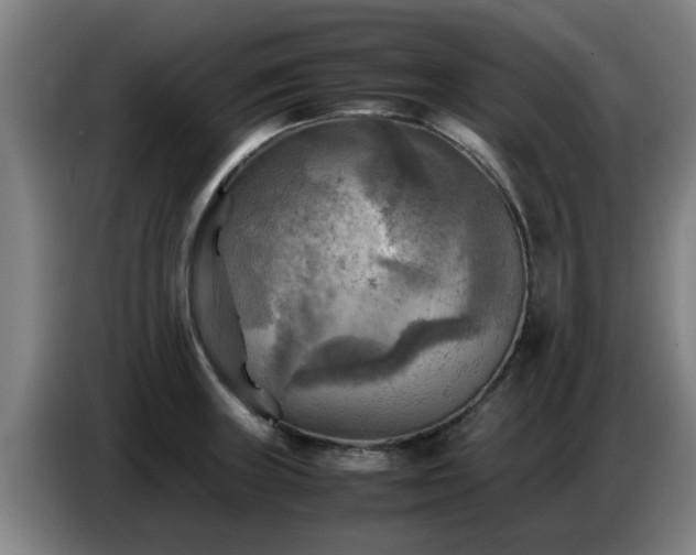 X0000086771235200704201758