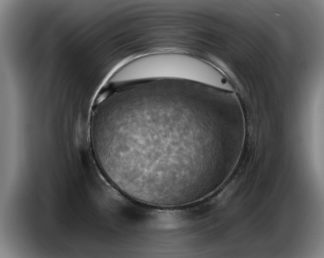 X0000086771236200704201758