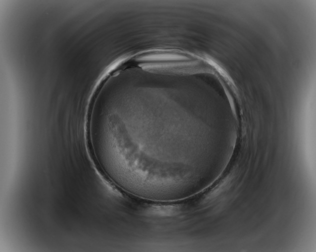 X0000086771237200704201758