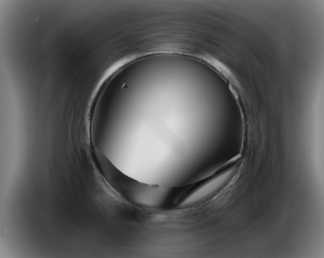 X0000086771238200704201758