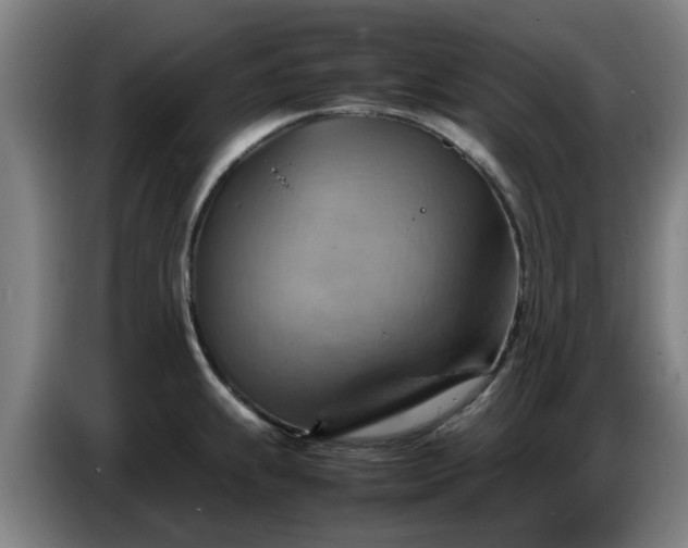 X0000086771239200704201758