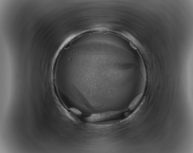 X0000086771240200704201758