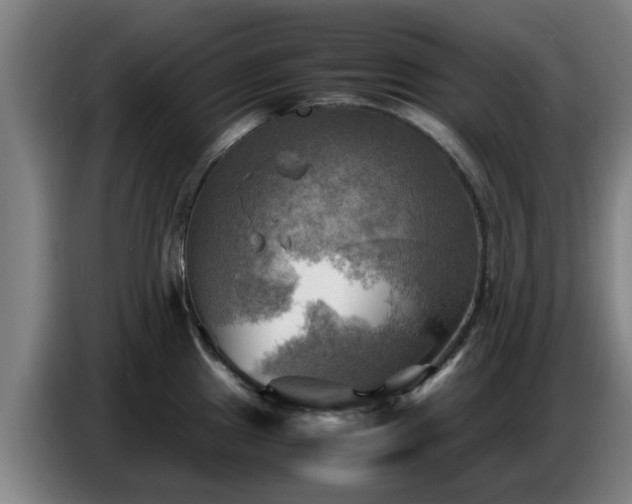 X0000086771241200704201758