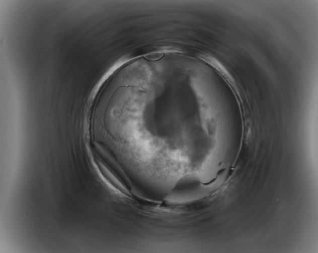 X0000086771243200704201758