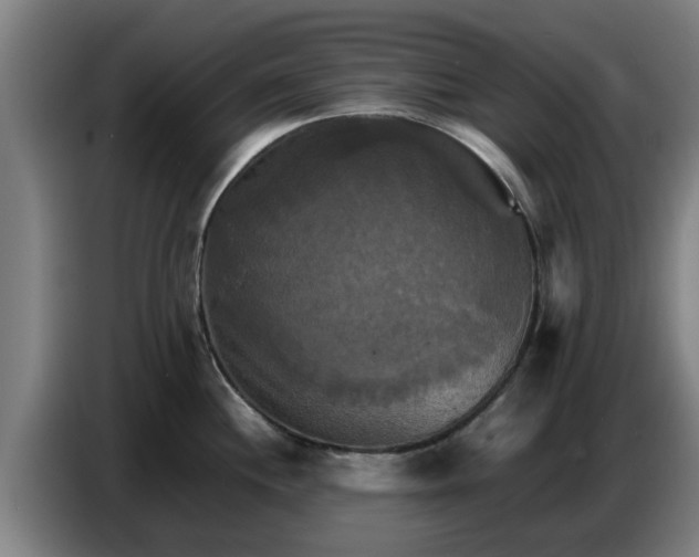 X0000086771244200704201758