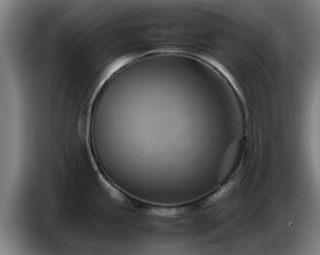 X0000086771245200704201758