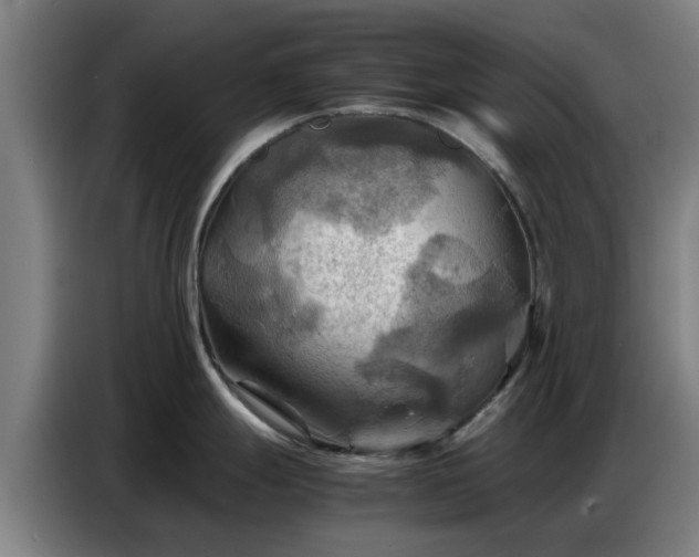 X0000086771247200704201758