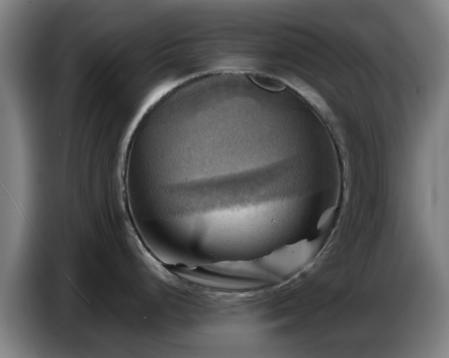 X0000086771248200704201758